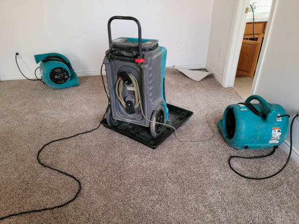 Best Water damage cleanup near me  in Amberley, OH