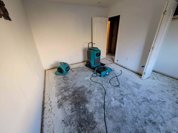 Carpet water damage restoration in Amberley, OH