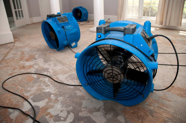 Best 24/7 water damage repair  in Amberley, OH