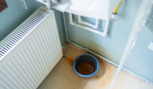 Best Local water damage restoration  in Amberley, OH