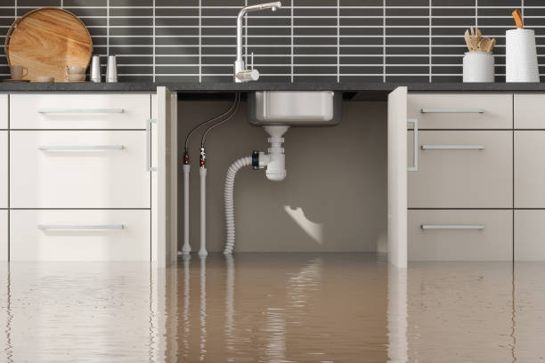 Best 24-hour water damage restoration  in Amberley, OH