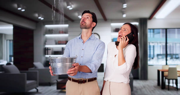 Best Basement water damage restoration  in Amberley, OH