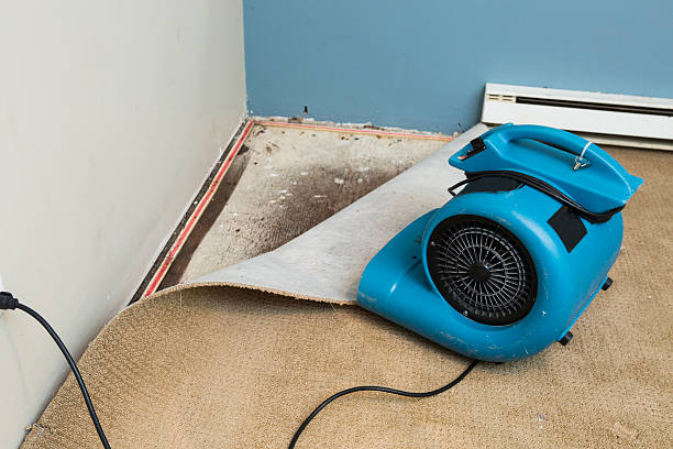 Best Sewage cleanup and water damage restoration  in Amberley, OH